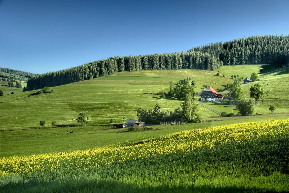 Zadbaj o zdrowie: 5 kluczowych kroków do lepszego życia!