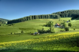 Zadbaj o zdrowie: Proste kroki do lepszego samopoczucia na co dzień